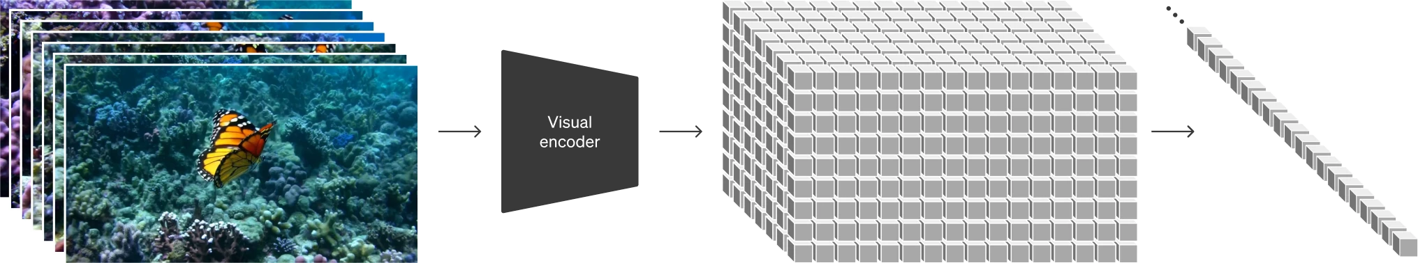 Figure explaining latent patches.
