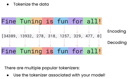 LLM Tokens Visualized